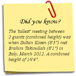 The Tallest Man Fact 5